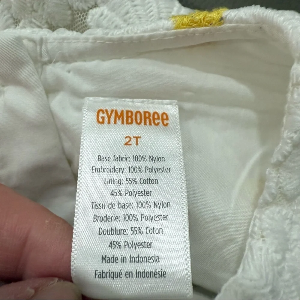Gymboree daisy lace dress 2t